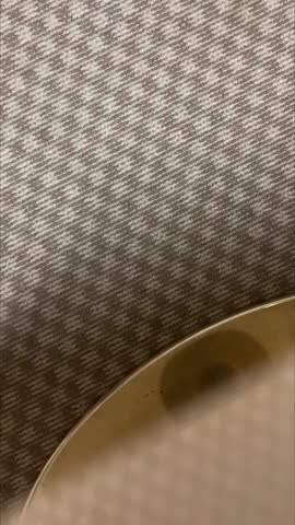 猫先生catman合集20200317强势女ceo上海白富王范下部ampamp8211